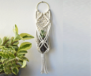 giỏ cây nhỏ hoa văn quả trám