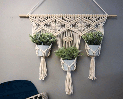 Rèm 03 giỏ cây treo liền