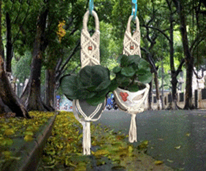 Giỏ cây Macrame 52cm