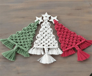 03 cây thông nhỏ sắc màu