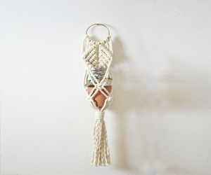 Giỏ cây đan rẻ quạt