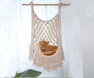 Nhà mèo võng treo