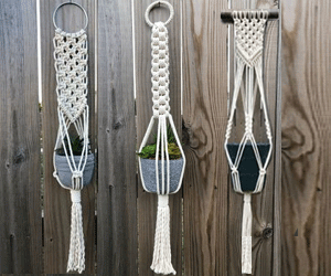 Bộ 3 giỏ treo cây