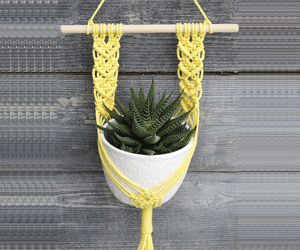 Giỏ đựng chậu cây