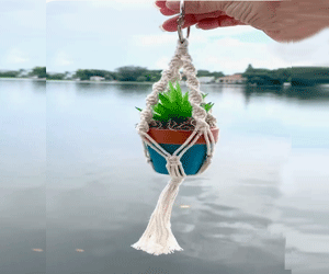 Giỏ cây Macrame 4 dây nhỏ