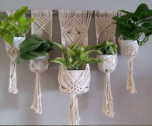 Bộ 5 giỏ liền thanh treo